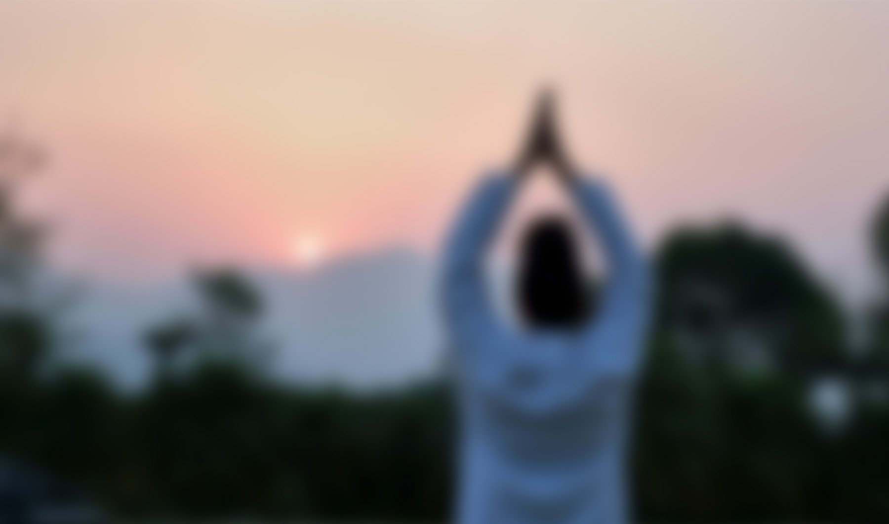 Amayaah Yoga Resorts Programmes Banners